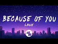 Lauv - Because of You (Lyrics)