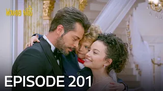 Wounded Birds | Episode 201