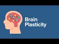 Brain Plasticity