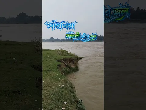বীরভূম সাঁথিয়া ময়ূরাক্ষী নদীর জল হঠাৎ করে বেড়ে গেল! #shorts #birbhum #breakingnews