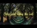 DNMO & Wolfy Lights - Bombalaya (Blooom Remix)