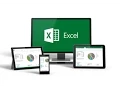 Module 1 Data Analysis in Excel