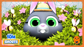FEAR OF BEES! 🐝 😱 🎃 - Talking Tom Shorts - Happy Halloween! 🎃