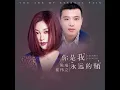 你是我永远的痛 (DJ何鹏版)