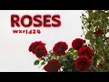 Download Lagu Wxrld24 - ROSES (Juice WRLD Cover)