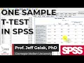 One Sample t-Test in SPSS Tutorial SPSS Tutorial