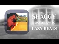 Download Lagu Shaggy - Boombastic (Lazy Beats Remix)