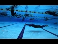 Download Lagu Natalia Molchanova freediving world record DNF