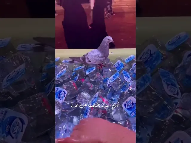 ⁣الكرم عدنا يختلف عن غيرنا ✨️🤍