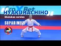 Lagu WKF kata HYAKUHACHIHO | Shotokan version of SUPARIMPEI