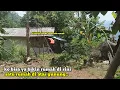 Download Lagu Sedih melihat lansia hidup sendiri di lereng bukit jauh dari tetangga
