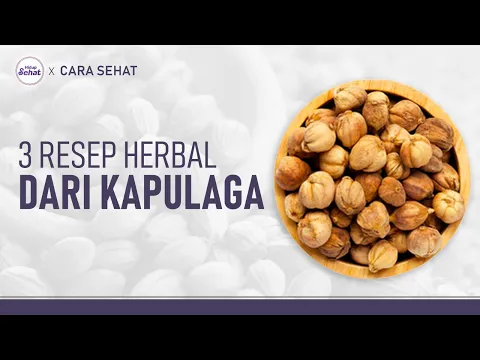 Cara Konsumsi Kapulaga Untuk Asam Lambung, Radang Tenggorokan dan Bau Mulut