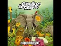 Tak Kan Ada Cinta Yang Lain (feat. Dewa 19) - Endank Soekamti
