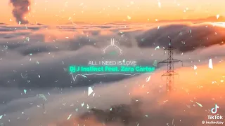 dj j instinct all i need