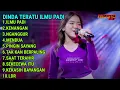Download Lagu FULL ALBUM ILMU PADI DINDA TERATU - TERBARU VIRAL TIKTOK 2024