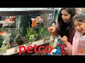 Getting 5 fish shopping at Petco