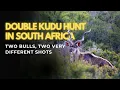 Download Lagu Double Kudu Hunt in South Africa – Two Bulls, Two Very Different Shots