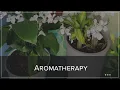 J J Thai Spa LLC