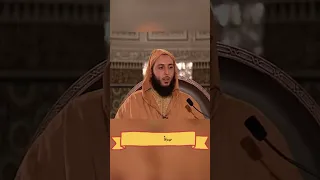 شعر حسان بن ثابت في رثاء عثمان بن عفان  الشيخ سعيد الكملي دندنها