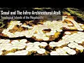 Download Lagu Rafael Luna_Seoul and the Infra-architectural Atoll -Typological Islands of the Megalopolis