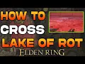 How To Cross The Lake of Rot in Elden Ring Easy Guide Cure Scarlet Rot