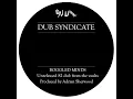 Boggled Minds - Dub Syndicate