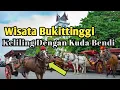 Download Lagu Wisata Kuda Bendi Bukittinggi. Info Wisata Ada Dalam Vidio ini ‼️