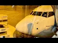 GOL 737MAX8 Recife REC - Sao Paulo GRU G31621