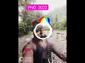 Download Lagu lagu penege 2022