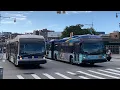 MTA Bus Beeline Bus Action Fordham Plaza