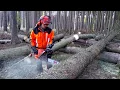 Download Lagu Husqvarna 572XP Chain saw TOP FELLING!!!THE BEST CHAINSAW!!!