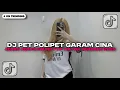 DJ GARAM CINA REMIX | PET POLIPET PIPET ANGKA 7 VIRAL TIKTOK TERBARU 2025 YANG KALIAN CARI !
