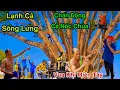 Download Lagu Vua Khỉ Cưa Cây Bồ Đề Lão Tổ Linh Thiêng Rùng Rợn Khiến Bao Thợ Cưa Bỏ Chạy Mất Dép Tập 7/8