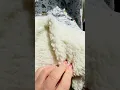 This Coloring Blanket Is the Cutest Thing Ever