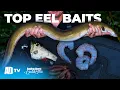 Download Lagu 3 Umpan Belut Terbaik - Umpan Pancing Predator Cepat - Memancing Belut