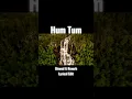 Download Lagu Hum Tum - Lofi 💗 | Slowed + Reverb | Feels Like Forever Love #shorts