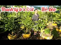Download Lagu Anh Đồng 📲 O35275II57 mai Giảo Thủ Đức giả rẻ 9/10 Bến Tre miền tây tôi yêu ơi (@MaivàngQuêdừa)