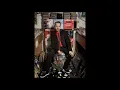 stetsasonic ( talkin'all that jazz )  dimitri from paris remix 1998