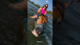 Girl Riding A Horse In The Water سواری دختره با اسب تو آب Animals Horse Funny Girl دختر اسب 
