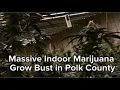 Massive indoor marijuana grow bust in Polk County