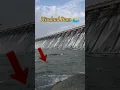 Download Lagu Hirakud Dam 🏊‍ #hirakud #shortvideo #shortsvideo #shots #shorts #short #song #viral #viralvideo
