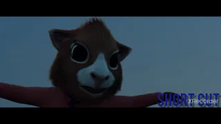 super furball