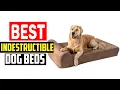 Top 5 Best Indestructible Dog Beds in 2025