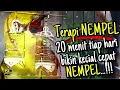 Download Lagu Terapi Kecial Kuning NEMPEL Cukup 20menit Ampuh Bikin Semua Kecial Kuning Joss NEMPEL‼️