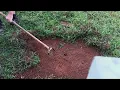 Removing Grass From A Large Area In Houston