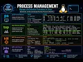 Process Management ps top kill jobs