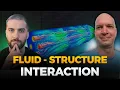 Fluid-Structure Interaction - Rafael Ritterbusch Podcast