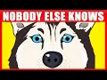 17 Secrets Your Dog Knows About You