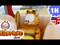 Garfield LOVES food - New Selection