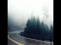 Beginnings - Tim Schaufert
